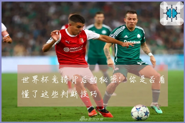 世界杯竞猜背后的秘密：你是否看懂了这些判断技巧