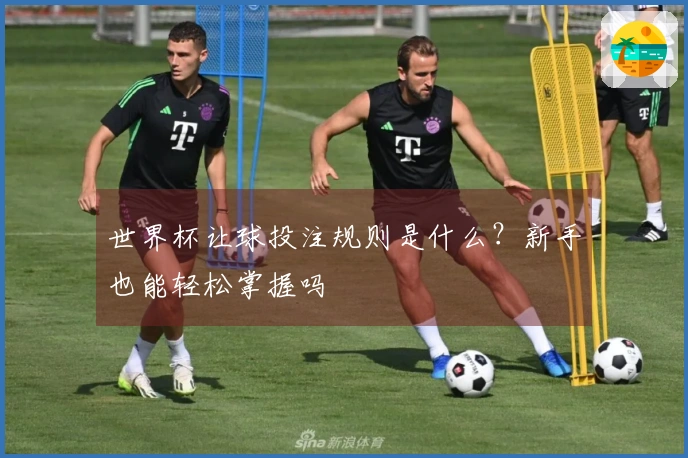 世界杯让球投注规则是什么？新手也能轻松掌握吗