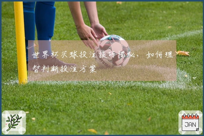 世界杯买球投注技巧揭秘,如何理智判断投注方案
