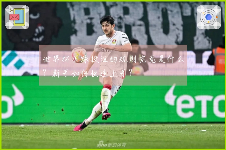 世界杯买球投注的规则究竟是什么？新手如何快速上手？
