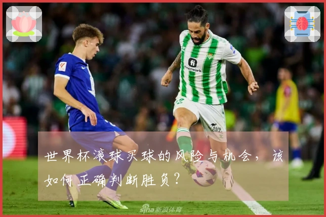 世界杯滚球买球的风险与机会，该如何正确判断胜负？