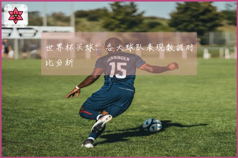 世界杯买球：各大球队表现数据对比分析