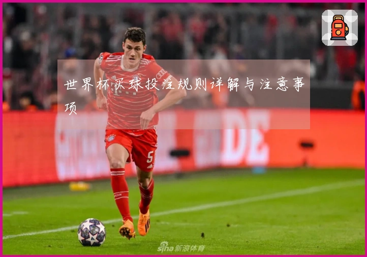 世界杯买球投注规则详解与注意事项