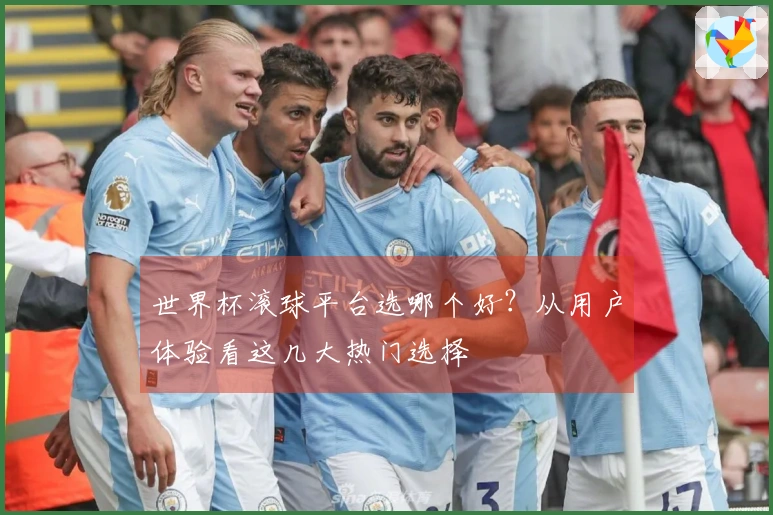 世界杯滚球平台选哪个好?从用户体验看这几大热门选择