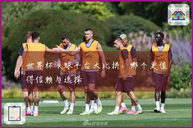 世界杯滚球平台大比拼，哪个更值得信赖与选择