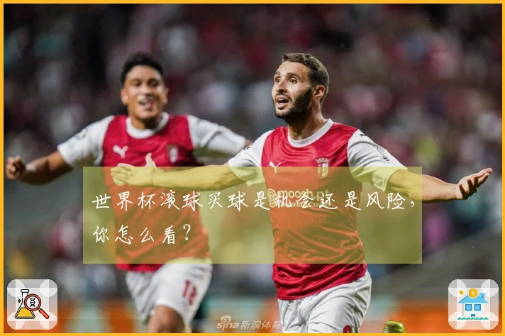 世界杯滚球买球是机会还是风险,你怎么看?