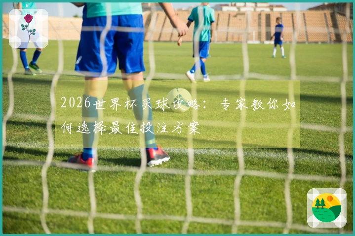 2026世界杯买球攻略：专家教你如何选择最佳投注方案