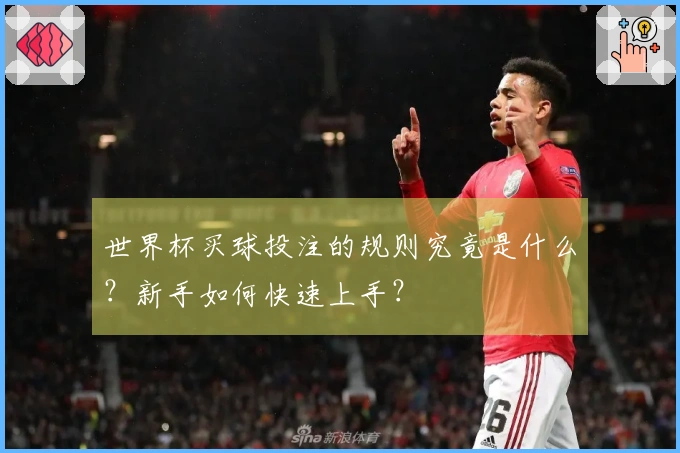 世界杯买球投注的规则究竟是什么？新手如何快速上手？