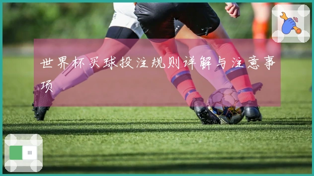 世界杯买球投注规则详解与注意事项