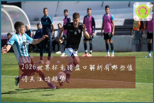 2026世界杯竞猜盘口解析有哪些值得关注的趋势