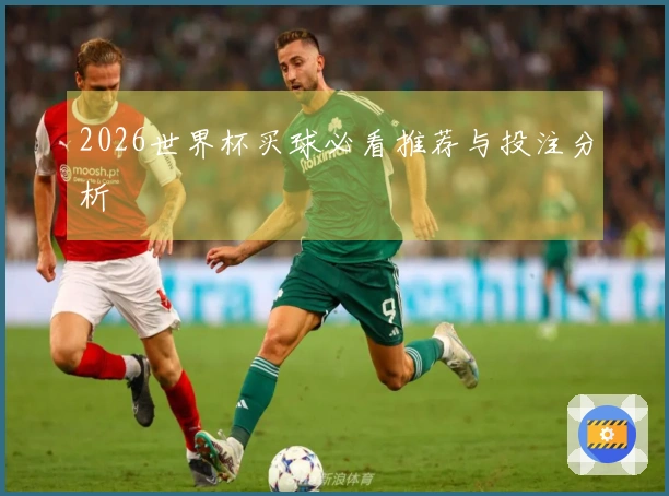 2026世界杯买球必看推荐与投注分析