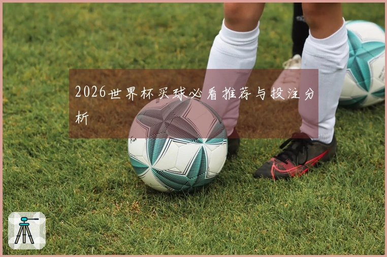2026世界杯买球必看推荐与投注分析