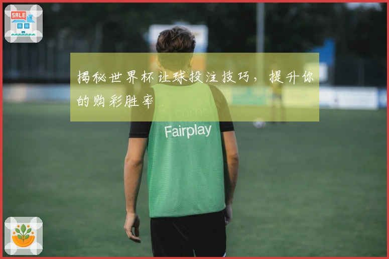 揭秘世界杯让球投注技巧，提升你的购彩胜率